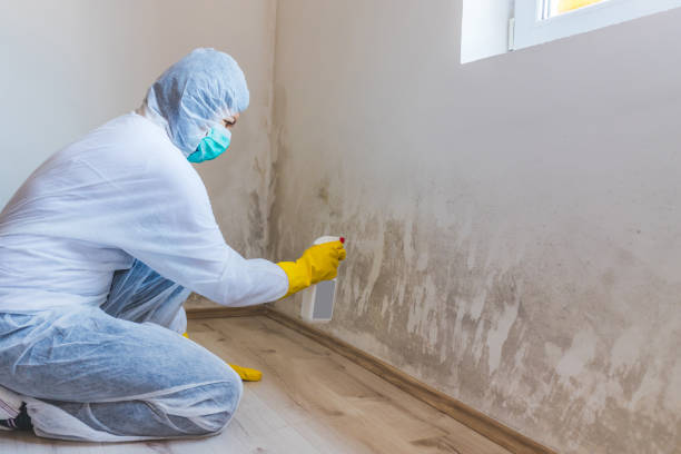 Professional mold removal team in Atlantic Beach